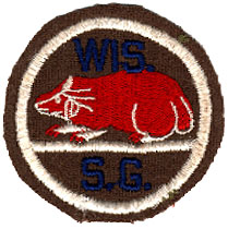 Wisconsin State Guard Patch